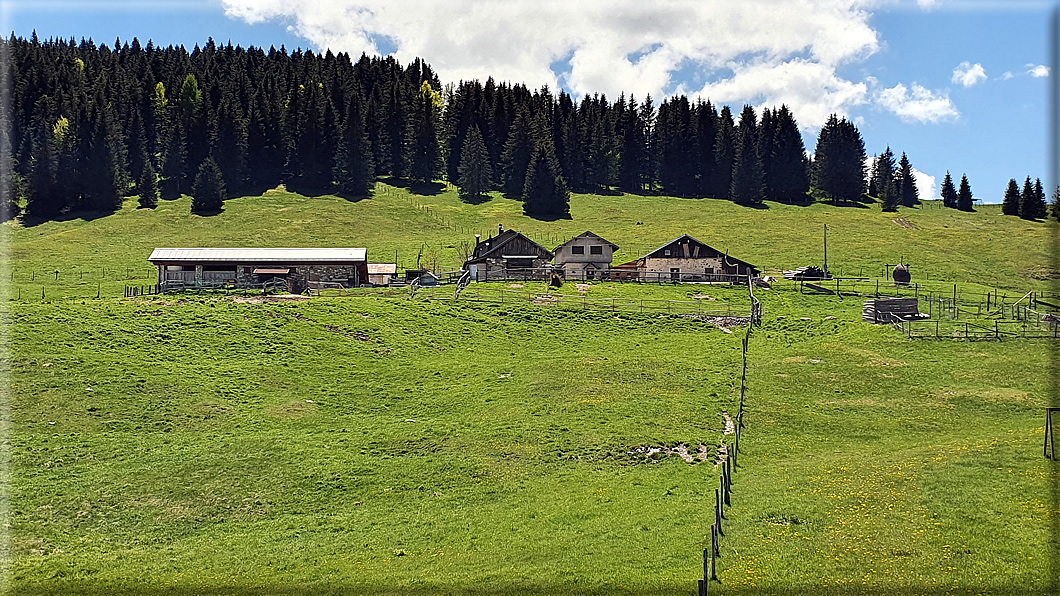 foto Piana del Vezzena